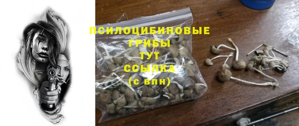 PSILOCYBIN Богданович